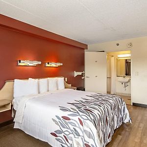 Superior King Room Disability Access Roll Shower Smoke
